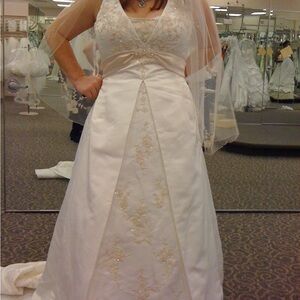 David’s bridal wedding dress